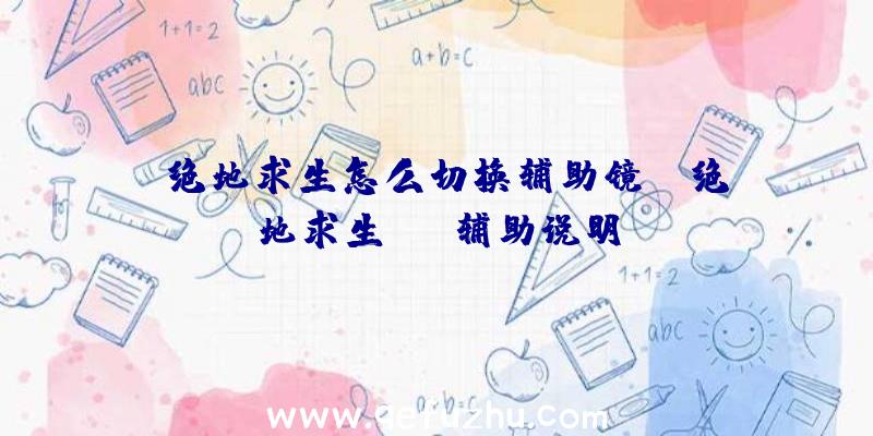 「绝地求生怎么切换辅助镜」|绝地求生xyz辅助说明